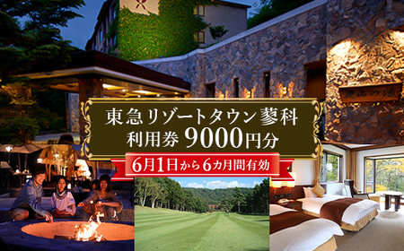 東急リゾートタウン蓼科利用券(1,000円分×9枚)2025年6月1日から6か月間有効チケット【1421740】