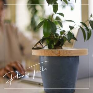 長野県の職人が作成する観葉植物用のテーブル スモールサイズ(20cm)_雑貨・日用品 家具・インテリア _