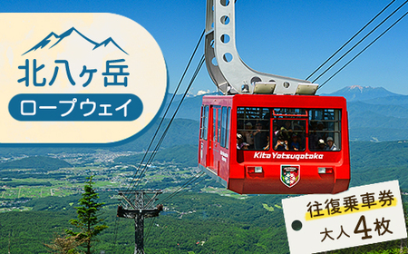 kx[vEFCԌ(Ƃ) 4_sE`Pbg  ̌`Pbg _y1556158z