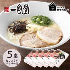 博多一風堂 豚骨ラーメン 白丸1食×5箱 とんこつ博多細麺【1558464】