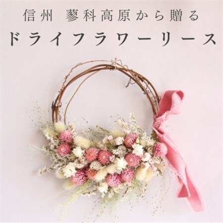 信州八ヶ岳の麓から贈るドライフラワーリース Sハーフ(ピンク)【1659519】
