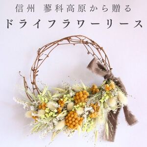 信州八ヶ岳の麓から贈るドライフラワーリース Sハーフ(イエロー)