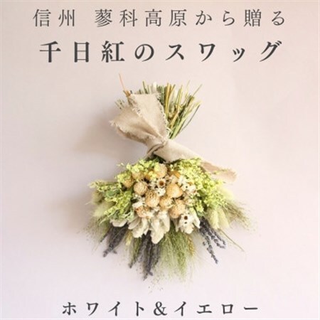 信州八ヶ岳の麓から贈る 千日紅のドライフラワースワッグM(ホワイト＆イエロー)【1659602】
