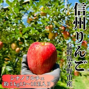 [2026年先行受付]長野直送!信州八ヶ岳のりんごシナノドルチェ約5kg(12〜18玉)蓼科高原果物[配送不可地域:離島]