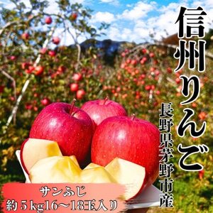 サンふじ 約5kg(16〜18玉) 長野直送 信州八ヶ岳 りんご 蓼科高原