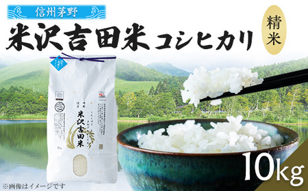 Vā@􍂌̔񂾂āuMBđgcāv 10kg(10kg×1)_      RVqJ  Ђ_y1418513z