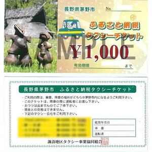 茅野市ふるさと納税タクシーチケット　1000円券×10枚【1419055】