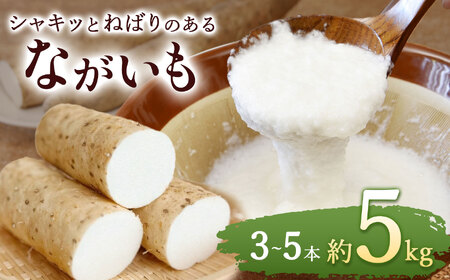 [春掘り]ながいも 約 5kg | 春掘り 野菜 やさい やまいも 長芋 ながいも とろろ 長野県 塩尻市