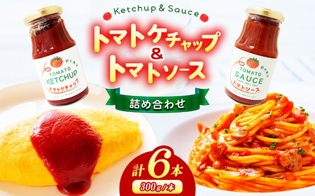 [ノムさんのトマト]トマトケチャップとトマトソースの詰め合わせ | 野菜 やさい ヤサイ とまと トマト ケチャップ ソース 調味料 加工品 長野県 塩尻市