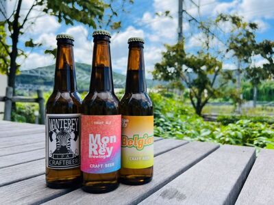 クラフトビール6缶 3種飲み比べセット | お酒 酒 おさけ クラフト ビール くらふと びーる 長野県 塩尻市