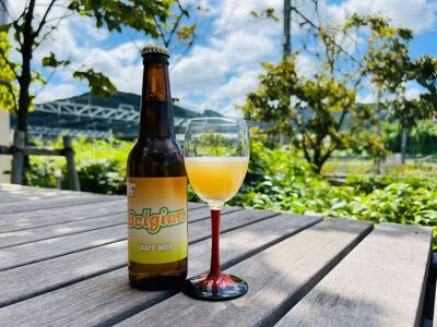 クラフトビール6本 山椒・みかんで醸造したベルジャンスタイルビール | お酒 酒 おさけ クラフト ビール くらふと びーる さんしょう 山椒 みかん ミカン 蜜柑 長野県 塩尻市