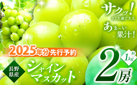 [2025年 先行予約] シャインマスカット 2房 | シャイン ぶどう 葡萄 ブドウ くだもの 果物 フルーツ マスカット しゃいん ますかっと 先行 先行予約 旬 塩尻市 長野 信州