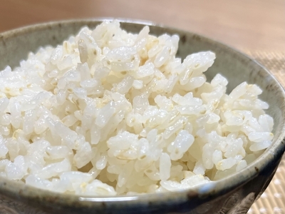 [令和7年産先行予約][風情ある希少品] 風さやか(信州推奨米) 稲架けした胚芽米 5kg 120個限定 2人暮らし:約1ヶ月分 | 米 生米 きまい お米 胚芽米 ごはん ご飯 稲架け 風さやか 2人暮らし 限定 希少 長野県 塩尻市