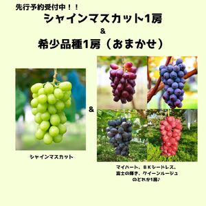 [2025年 先行予約][希少品種・お楽しみセット]シャインマスカット1房と旬の完熟1房詰め合わせ 