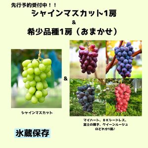 [2025年 先行予約][希少品種・お楽しみセット][甘みが増す完熟 氷蔵保存]シャインマスカット1房と旬の完熟1房詰め合わせ 