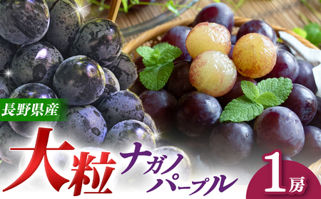 [先行予約][9月上旬頃〜発送予定] ナガノパープル(1房) | 果物 くだもの フルーツ 葡萄 ぶどう ブドウ ナガノ パープル 長野県 塩尻市