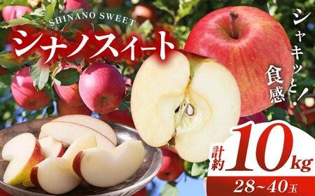 [先行予約]信州産 塩尻エールりんご! シナノスイート 約10kg (28〜 40玉 )[10月上旬頃〜発送予定]| 果物 くだもの フルーツ 林檎 りんご リンゴ シナノスイート 長野県 塩尻市
