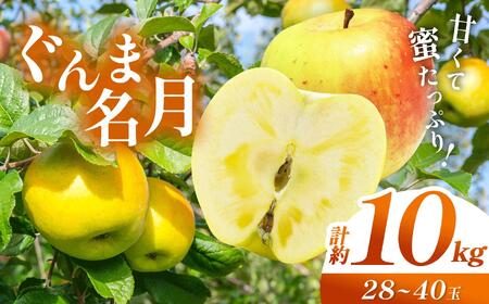 [先行予約]信州産 塩尻エールりんご!果汁たっぷり ぐんま名月 約10kg(28〜40玉)[10月中旬頃〜発送予定]| 果物 くだもの フルーツ 林檎 りんご リンゴ ぐんま名月 果実 アップル 長野県 塩尻市