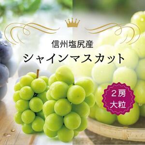 VC}XJbg 2[  (1.3kgjiX{蔭\j | VC Ԃǂ  uhE  ʕ t[c }XJbg Ⴂ ܂ s s\ 쌧 Ks