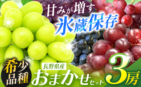 y󏭕izyÂ݂n Xۑz܂3[ [VC}XJbg1[Ə{̊n2[lߍ킹]VC Ԃǂ   ʕ t[c }XJbg }Cn[g NC[[