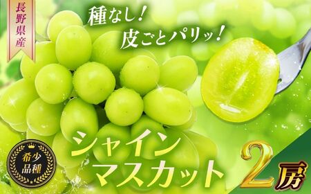 【2026年 先行予約】 シャインマスカット2房【10月上旬頃より発送予定】