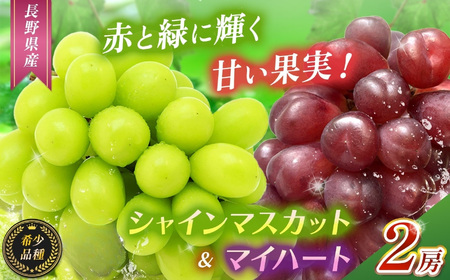 [2026年 先行予約]赤と緑にきらめく果実。マイハート1房とシャインマスカット1房