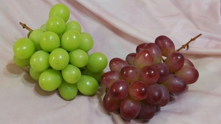 [先行予約]贈答用 信州産 葡萄[詰め合わせ]2房 [シャインマスカット、クイーンルージュ®]