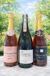 特別な日の乾杯を塩尻で。スパークリング飲み比べ3本セット