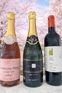 乾杯からメインまで楽しめる特別セレクト はじめての塩尻スパークリング&赤ワイン3本セット