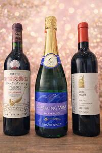 塩尻ワイン入門の第一歩 はじめての塩尻ワイン3本セット