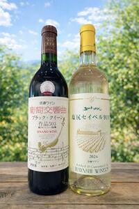 シンプルに味わう塩尻の王道 赤白飲み比べ2本セット