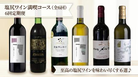 塩尻プレミアムワイン定期便[全6回]