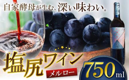 霧訪山シードル 塩尻市産 メルロー