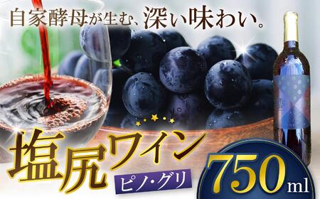 霧訪山シードル 塩尻市産 ピノ・グリ