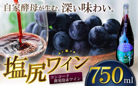 霧訪山シードル 塩尻市産コンコード100% 赤微発泡