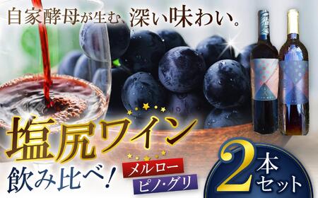 霧訪山シードル ワイン飲み比べ2本セット(メルロー/ピノ・グリ)