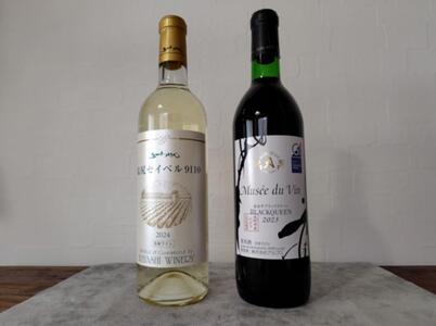 五一わいん セイベル9110 & アルプスMdVブラッククイーン 2本セット