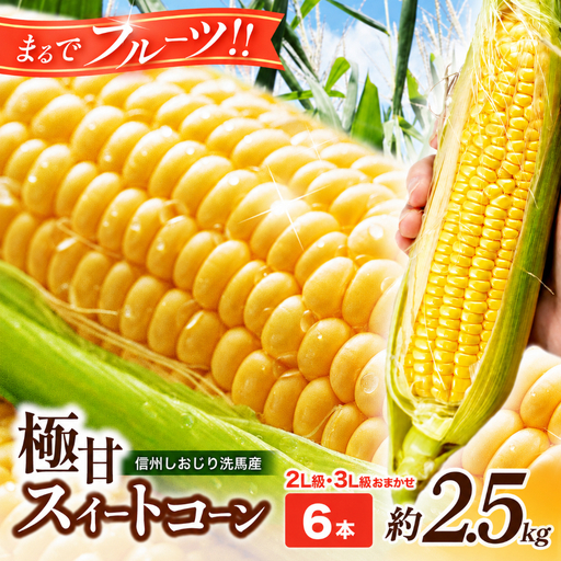 [2026年先行予約] 極甘スイートコーン 2L級・3L級おまかせ6本 約2.5kg (高原野菜の名産地 信州しおじり洗馬産)[7月末〜8月中旬にかけて順次発送予定]