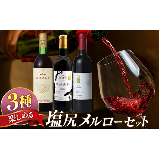 塩尻産ワイン メルロー 3本セット