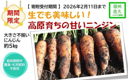 yԌzłI炿̊ÂjW5kgikCEEzsjLbg lQ 쌧 MB vs 