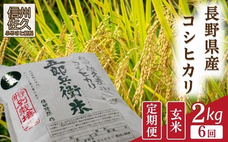 [令和7年産・玄米2kg×6カ月定期便] 特別栽培米 五郎兵衛米[2025年9月中旬頃〜順次発送] 先行予約 新米 信州こしひかり コシヒカリ こしひかり 長野県 佐久市
