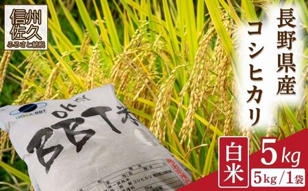 [令和7年産・白米5kg]特別栽培米 BBT米(五郎兵衛米)[2025年9月中旬頃〜順次発送] 先行予約 新米 信州こしひかり コシヒカリ こしひかり 長野県 佐久市