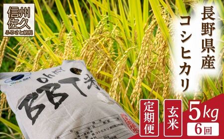 [令和7年産・玄米5kg×6カ月定期便]特別栽培米 BBT米(五郎兵衛米)[2025年9月中旬頃〜順次発送] 先行予約 新米 信州こしひかり コシヒカリ こしひかり 長野県 佐久市