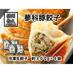 蓼科豚餃子12個入り×4パック 冷凍餃子 高原野菜 ハイポー ブレンド豚 蓼科豚 信州味噌 信州佐久[餃子 上質な蓼科マーブルハイポーと信州味噌を使用しラード・化学調味料・合成保存料・合成着色料不使用 長野県 佐久市 ]