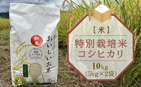 [先行予約/令和6年産]コシヒカリ(白米)10kg(5kg×2袋) 特別栽培米 小分け おすそ分け 米 精米 新米 美味 長野県 高品質(北海道・沖縄・離島は配送不可)[出荷時期:2024年10月初旬出荷開始〜2024年12月25日終了]