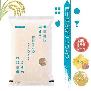 [令和7年産・玄米5kg×定期便3カ月]特別栽培米 市川さんのこしひかり (2025年11月出荷開始予定)先行予約 新米 信州[ 米 コメ 備蓄品 仕送り おすそ分け 備蓄米 長野県 佐久市 ]
