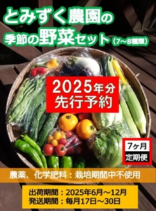 [先行予約/7ヶ月連続定期便/受付期限12月31日]とみずく農園の季節の野菜セット 2025年出荷分[出荷時期:2025年6月17日開始〜12月28日終了※原則、6月以降、毎月17日〜毎月30日に][ 長野県 佐久市 ]