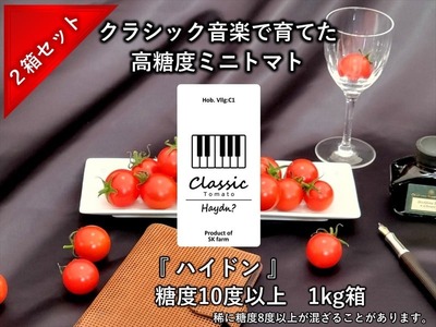 �y��s�\��E2026�N2���ȍ~�����z�����x�N���V�b�N�~�j�g�}�g�w�n�C�h���x��1kg�� x 2�����k�C���E���ꌧ�E�����͔z���s���@���쌧�@�M�B�@���v�s�@��؁@�{�ʁ@�v�`�@����