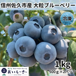 長野県産 冷凍ブルーベリー 約1kg(2026年8月〜2027年1月出荷/沖縄・離島は配送不可) ベリー