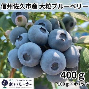 長野県産 生ブルーベリー 約400g (2026年7月〜8月出荷/北海道・沖縄・離島は配送不可) ベリー